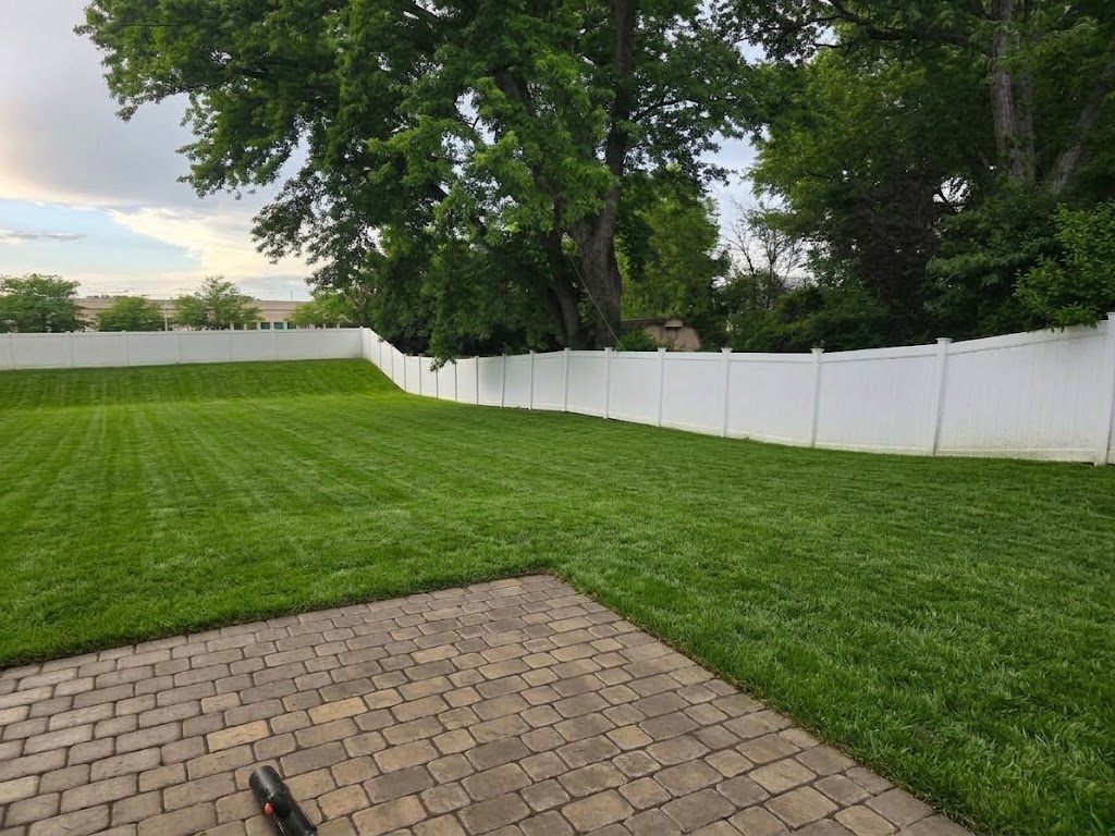 Freshly mowed North Olmsted backyard with clean mowing stripes