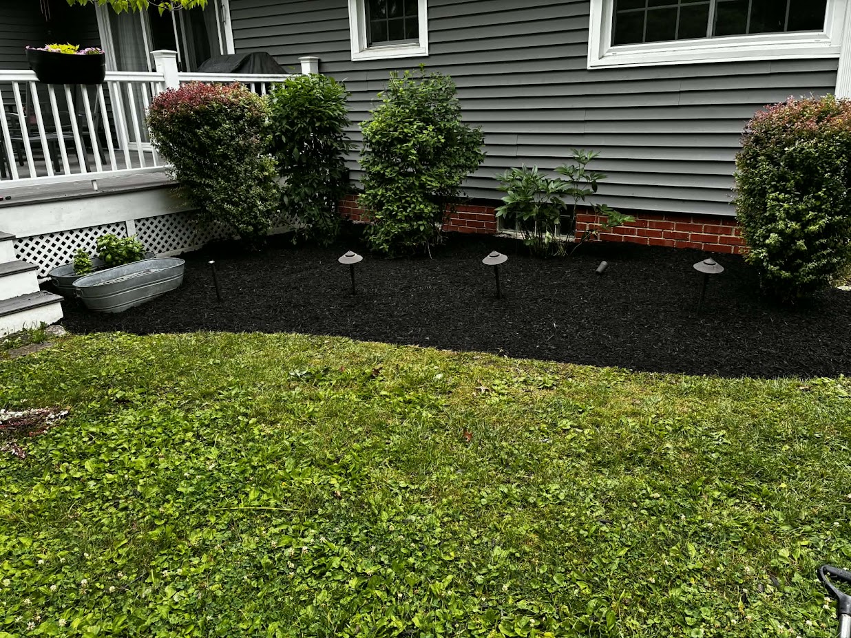 Neatly maintained mulch bed with trimmed shrubs and landscape lighting